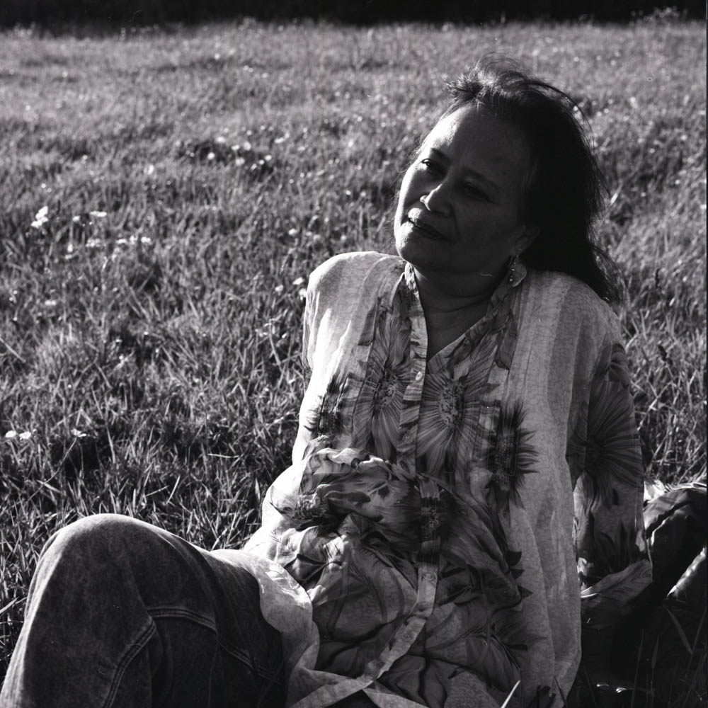 Retini sitting in a field of tall grass